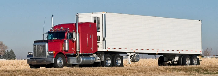 Chiropractic Florence SC Semi Truck